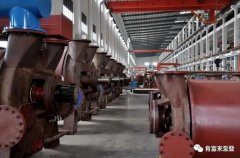 天津旭东进口商品贸易有限公司被评为2019年度三水区骨干企业